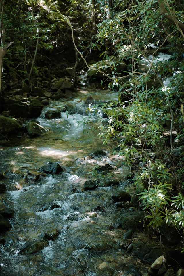 De Yakushima